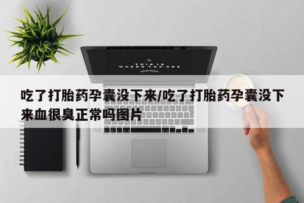 卖正品米索前列醇片微信吃了打胎药孕囊没下来/吃了打胎药孕囊没下来血很臭正常吗图片